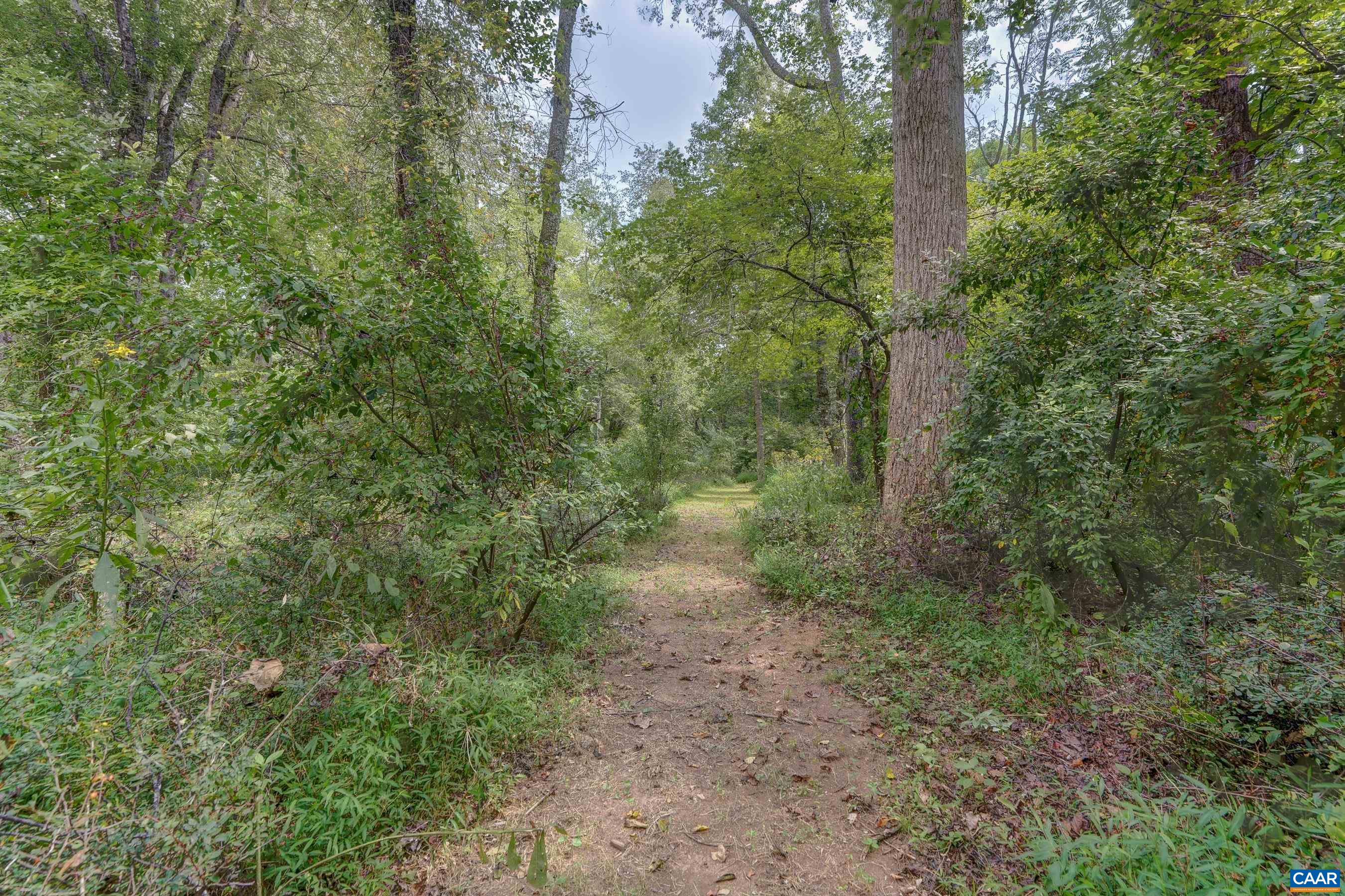 140 LYNX FARM LN