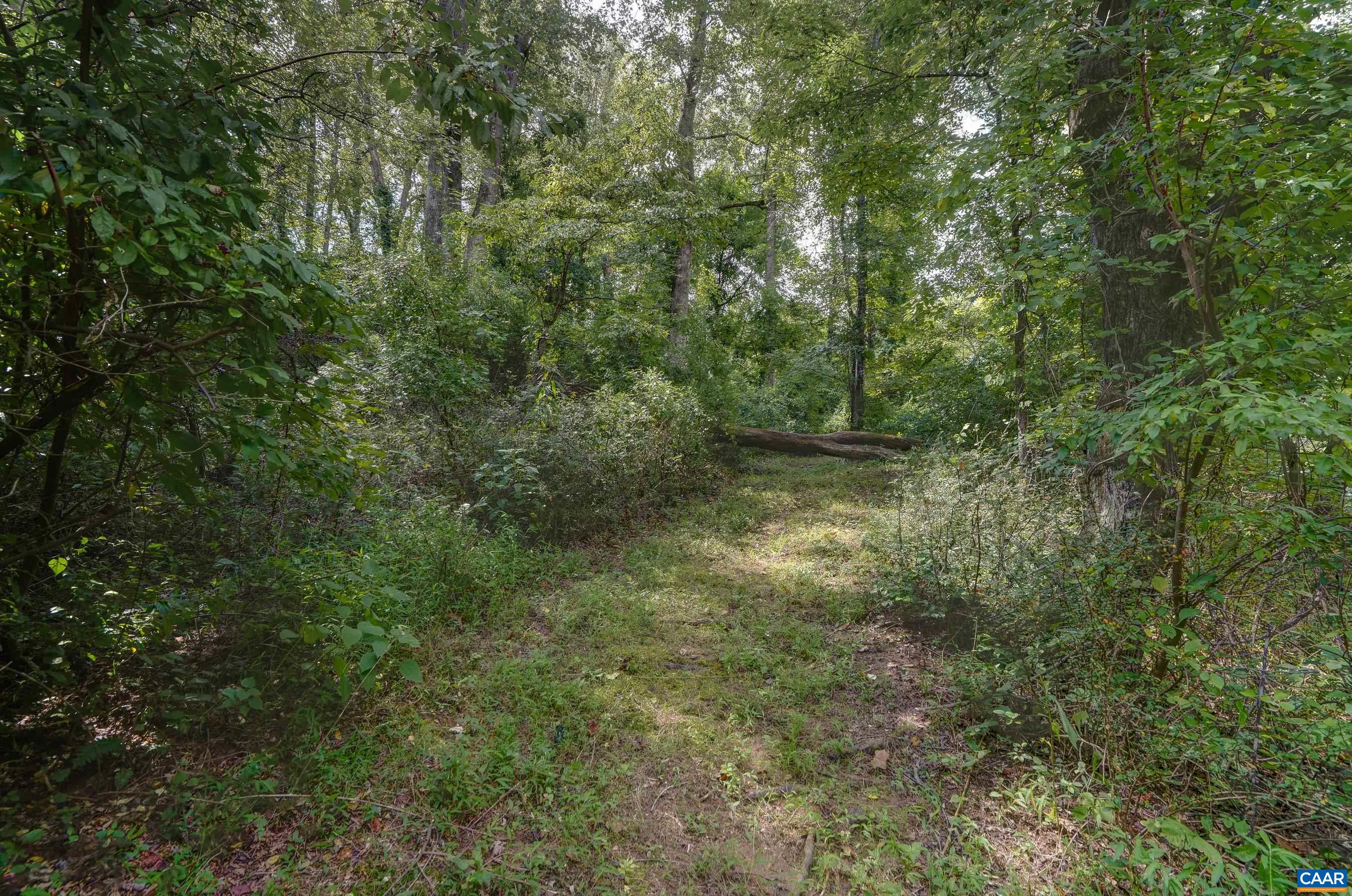 140 LYNX FARM LN