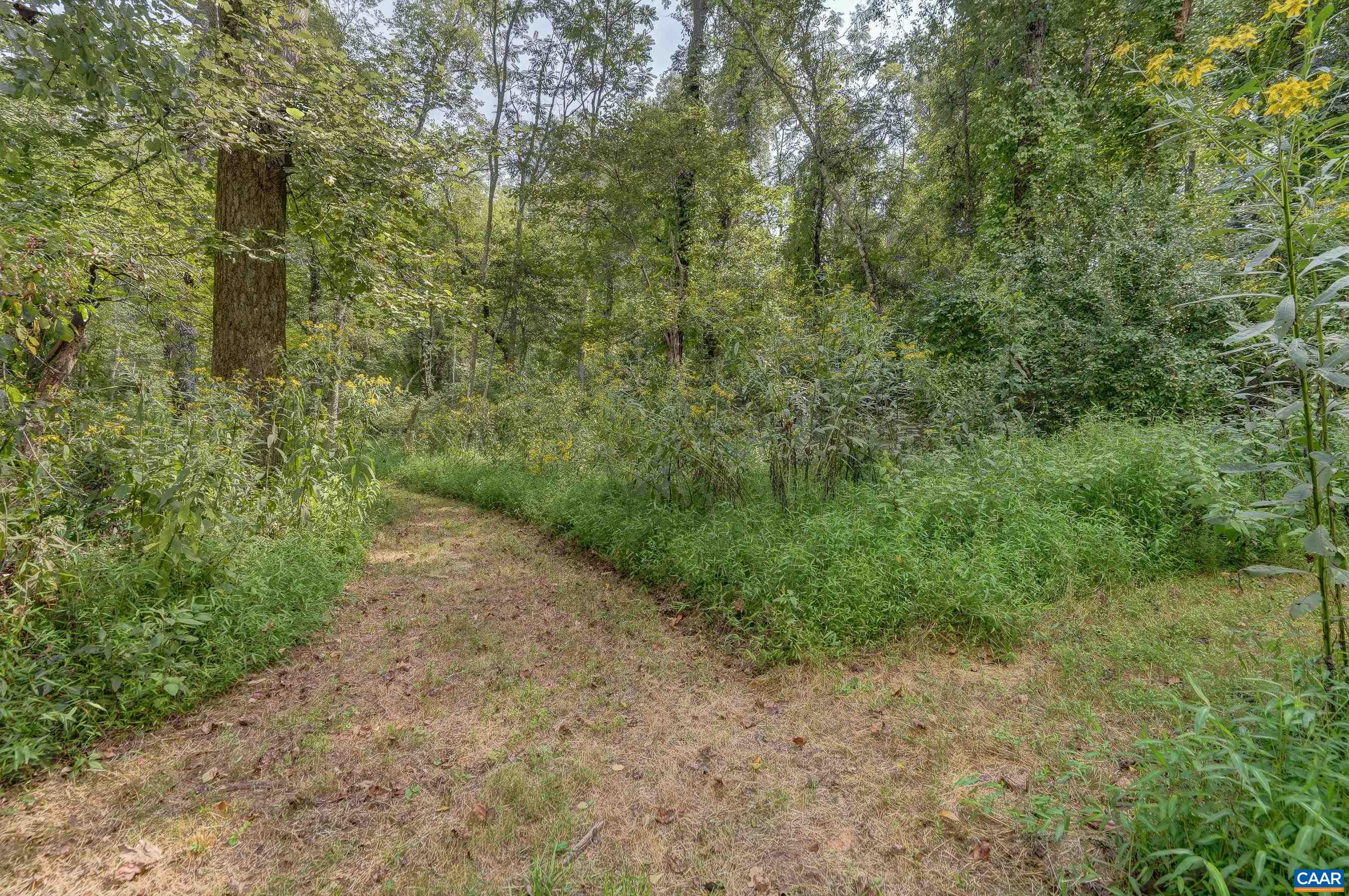 140 LYNX FARM LN