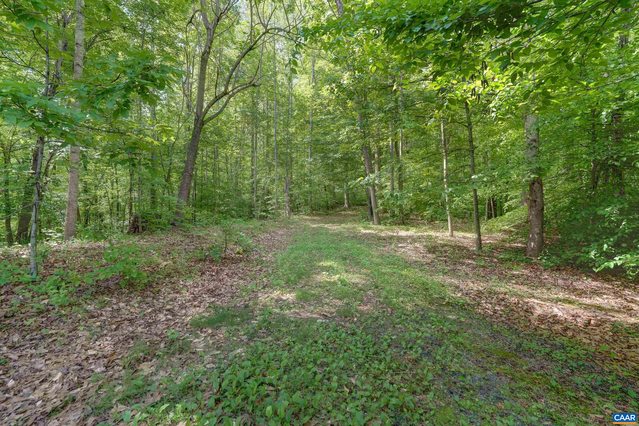 395 IVY VISTA DR