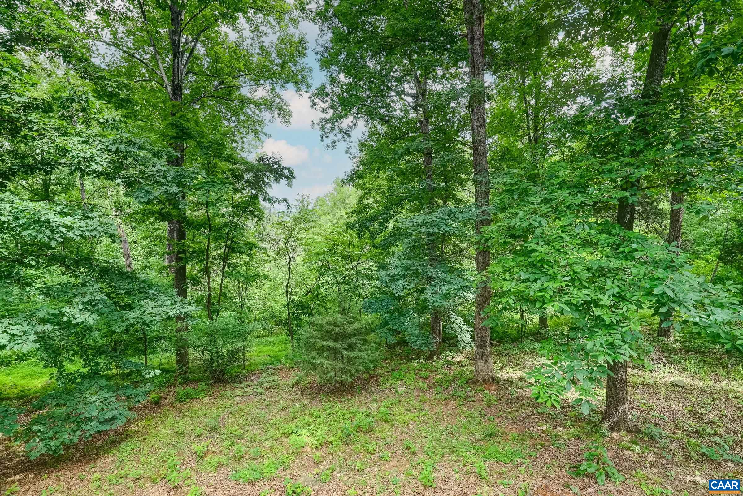 136 HOODED WARBLER LN