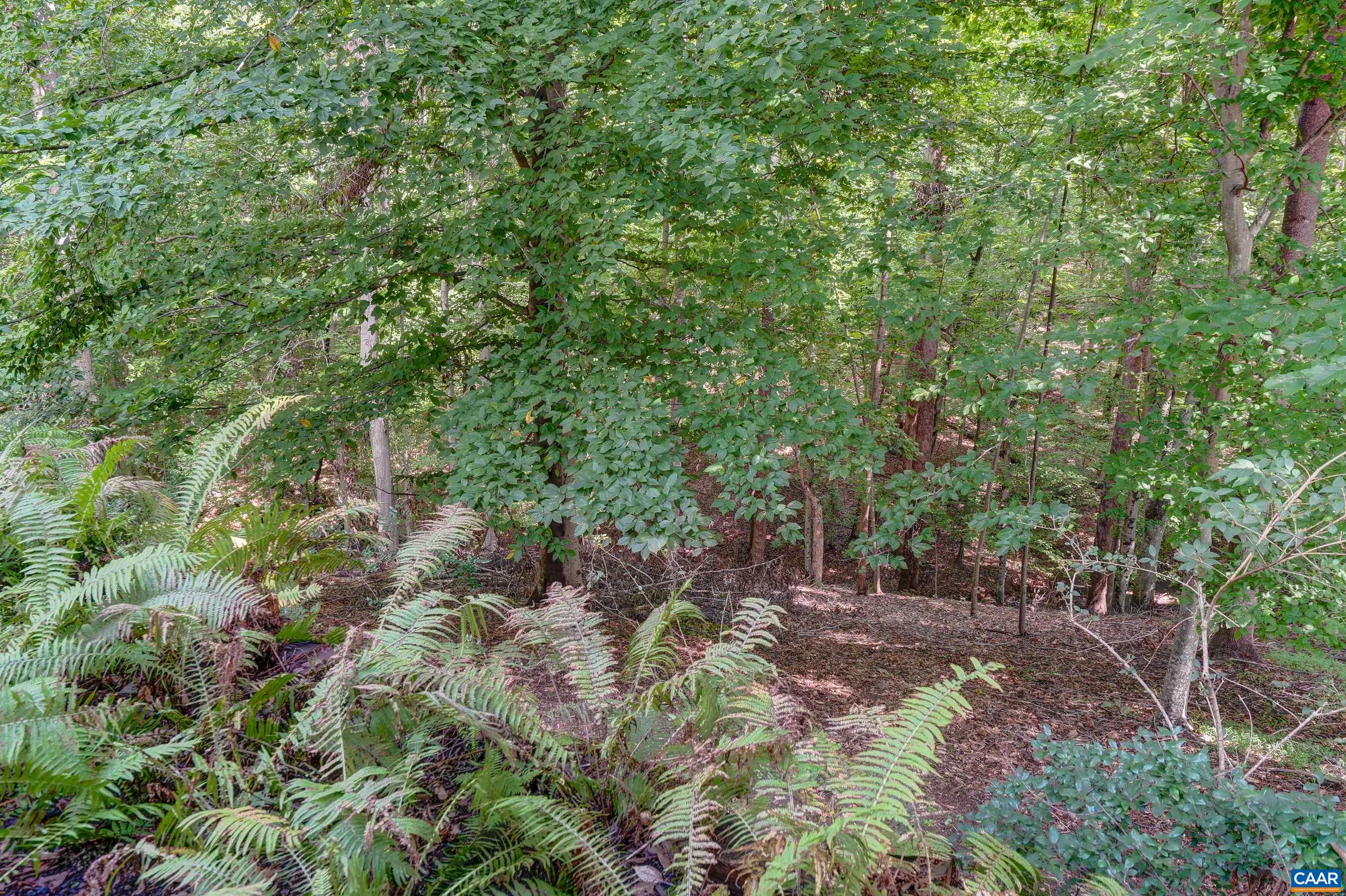 1376 DUNLORA DR
