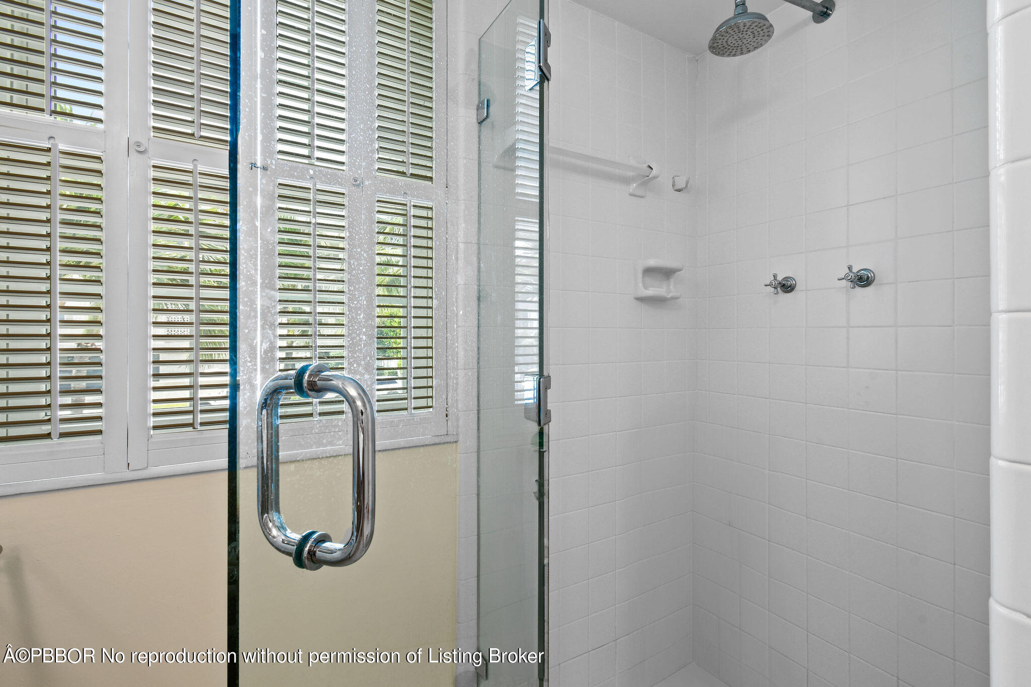 226 Brazilian Avenue, 2 D