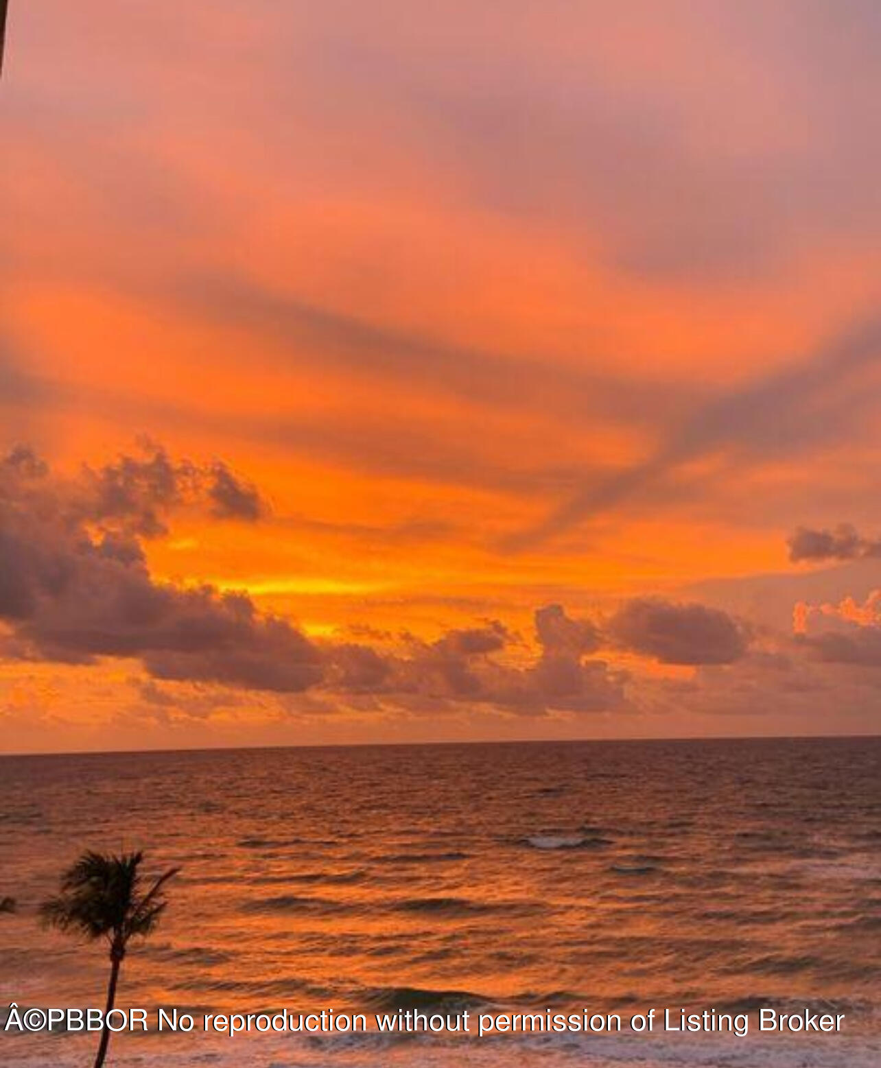 3590 S Ocean Boulevard, 606