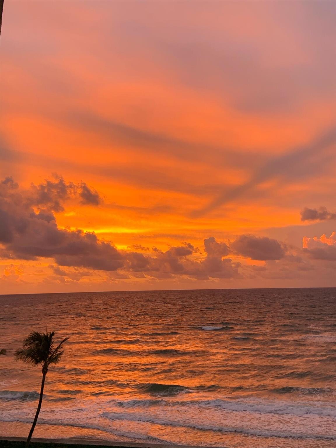 3590 S Ocean 606 Boulevard 606