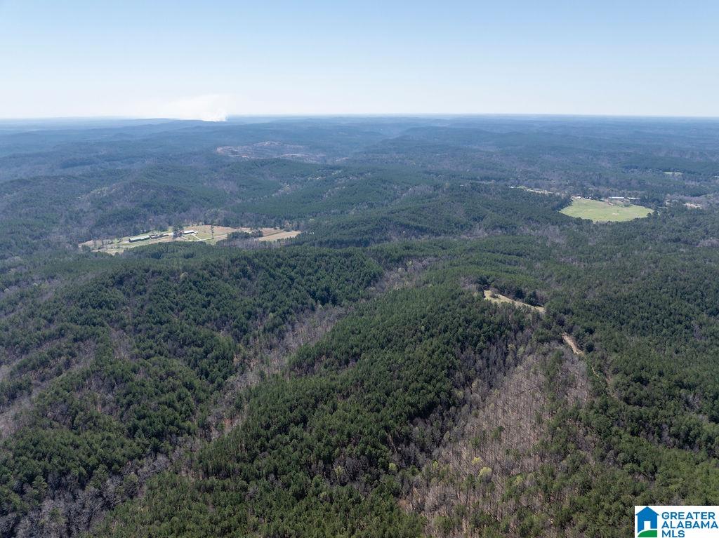 15201 COUNTY ROAD 63 N none