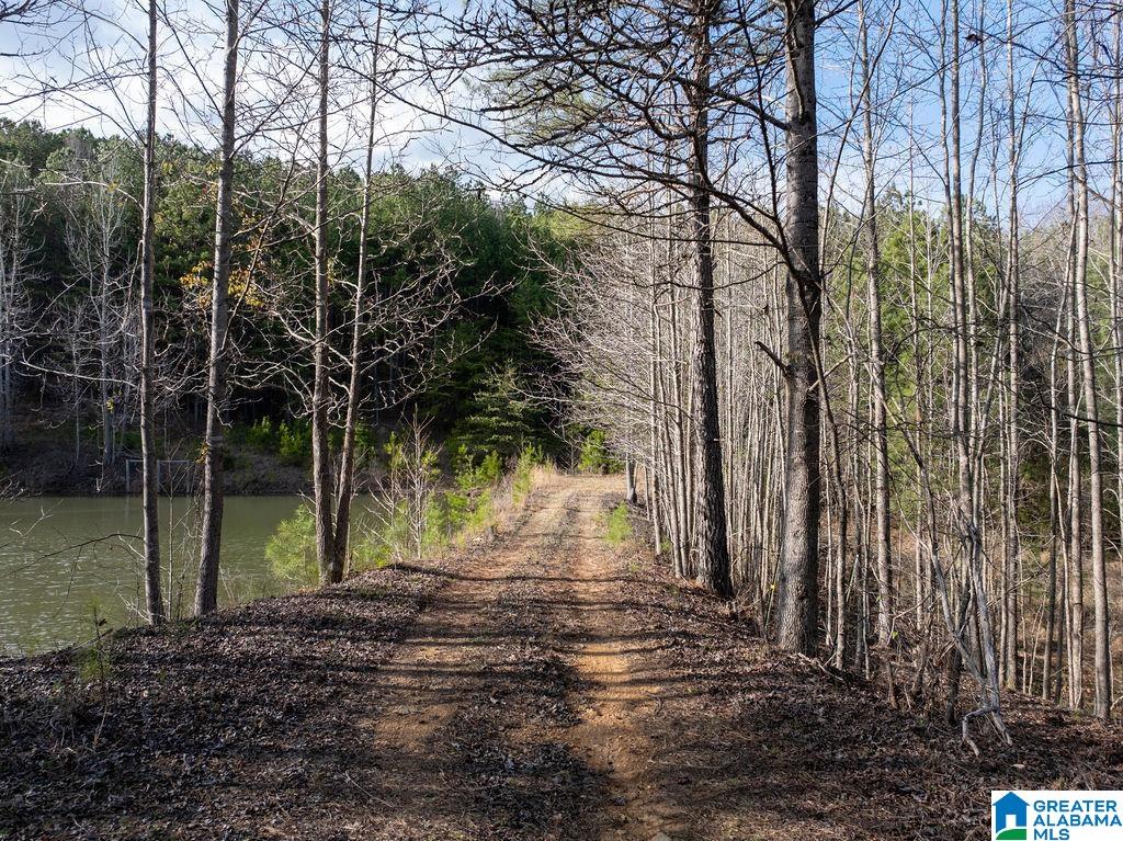 15201 COUNTY ROAD 63 N none