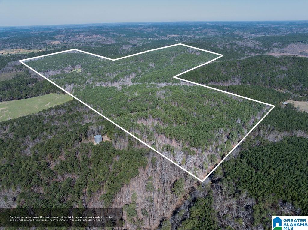 15201 COUNTY ROAD 63 N none