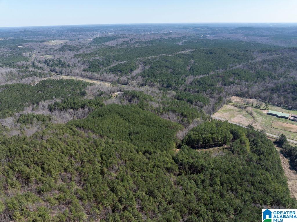 15201 COUNTY ROAD 63 N none