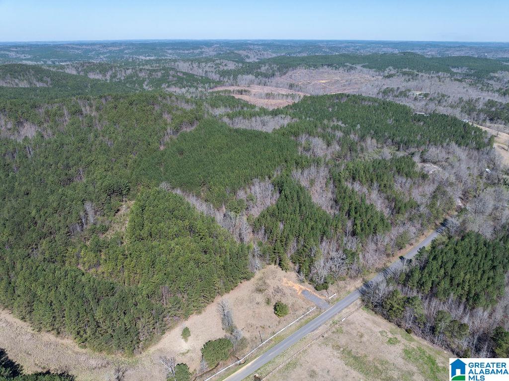 15201 COUNTY ROAD 63 N none