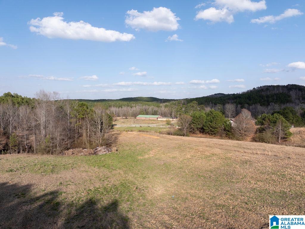 15201 COUNTY ROAD 63 N none