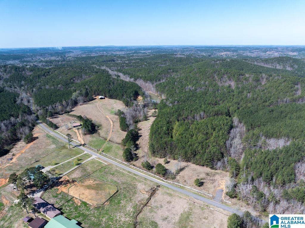 15201 COUNTY ROAD 63 N none