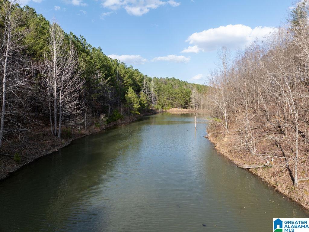 15201 COUNTY ROAD 63 N none