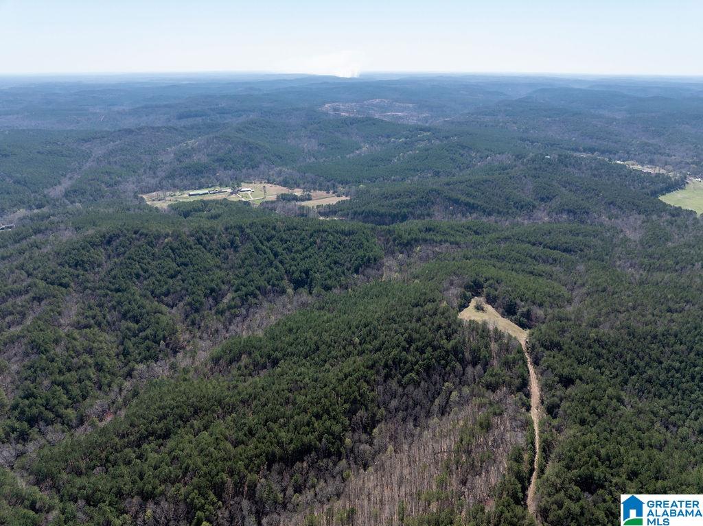 15201 COUNTY ROAD 63 N none