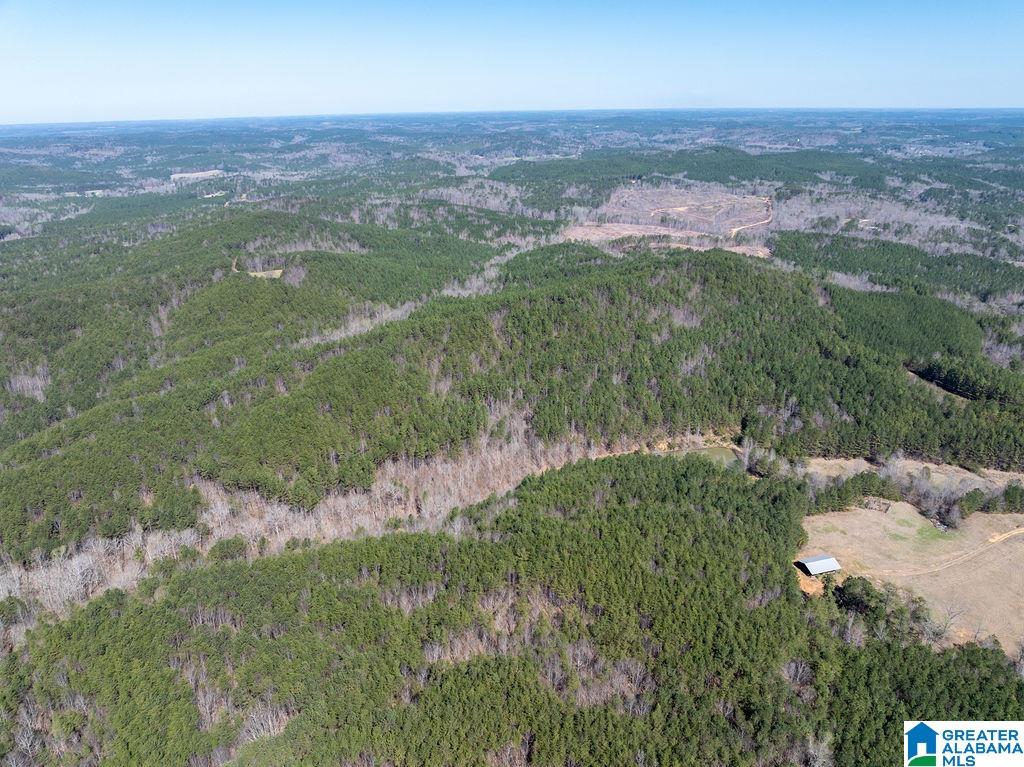 15201 COUNTY ROAD 63 N none