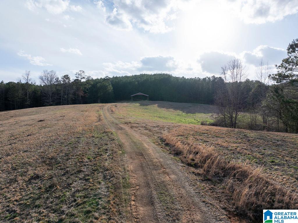 15201 COUNTY ROAD 63 N none