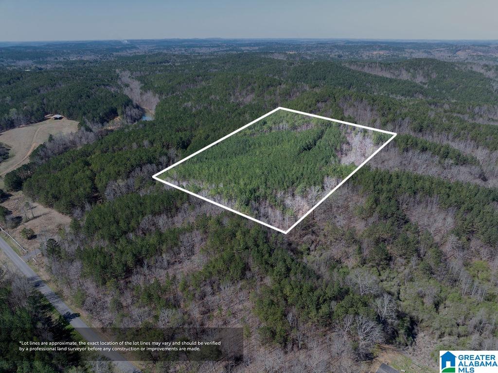 15201 COUNTY ROAD 63 N none