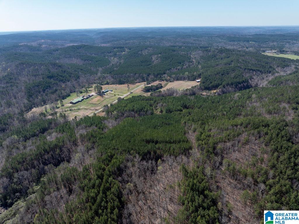 15201 COUNTY ROAD 63 N none