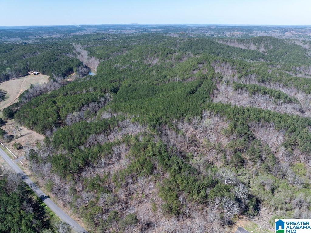 15201 COUNTY ROAD 63 N none