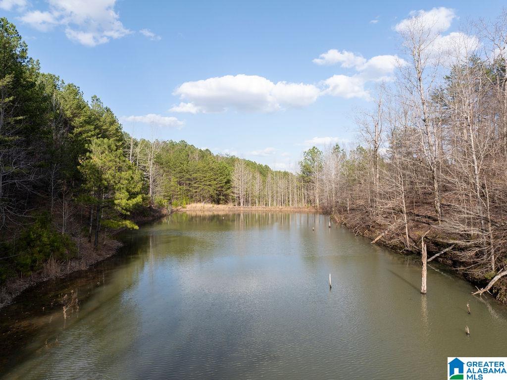 15201 COUNTY ROAD 63 N none