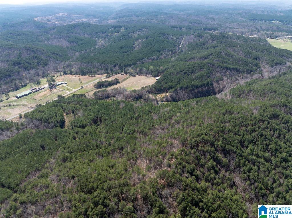 15201 COUNTY ROAD 63 N none