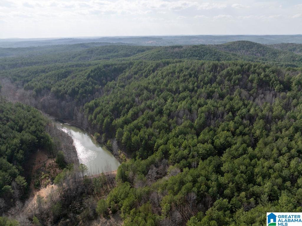 15201 COUNTY ROAD 63 N none