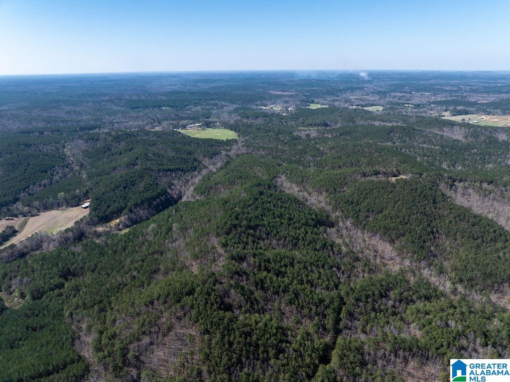 15201 COUNTY ROAD 63 N none