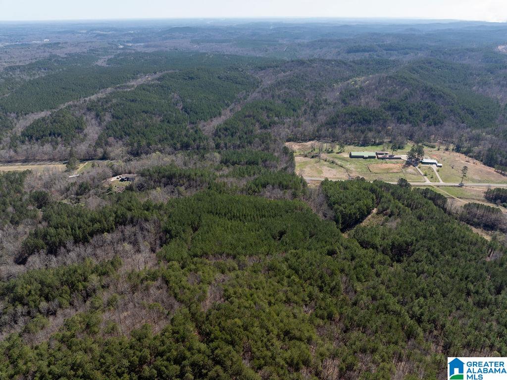 15201 COUNTY ROAD 63 N none