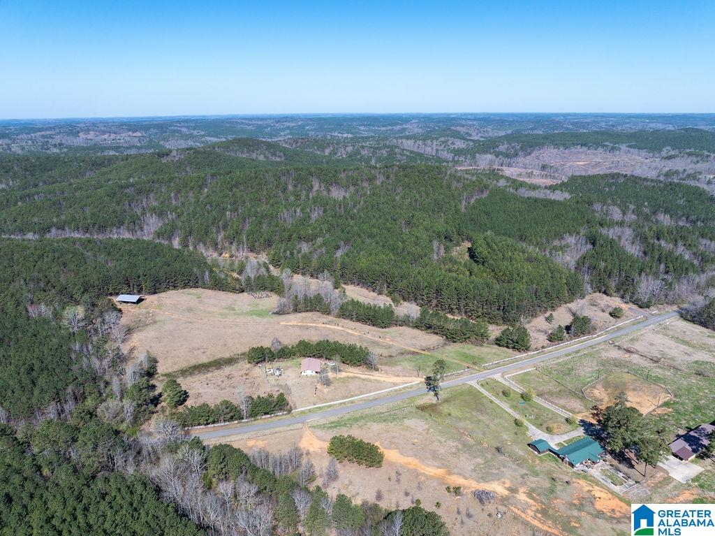 15201 COUNTY ROAD 63 N none