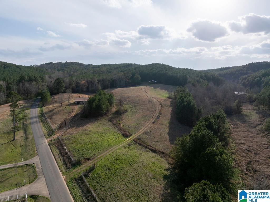 15201 COUNTY ROAD 63 N none