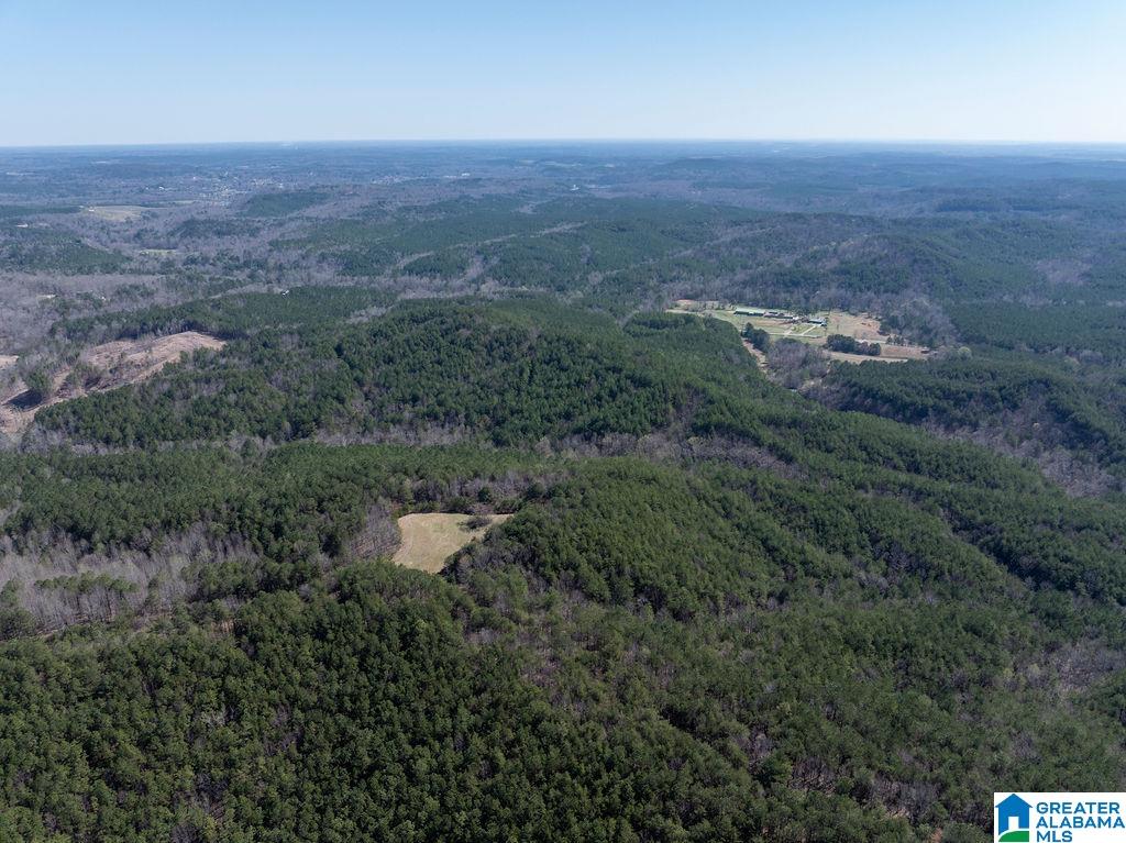 15201 COUNTY ROAD 63 N none