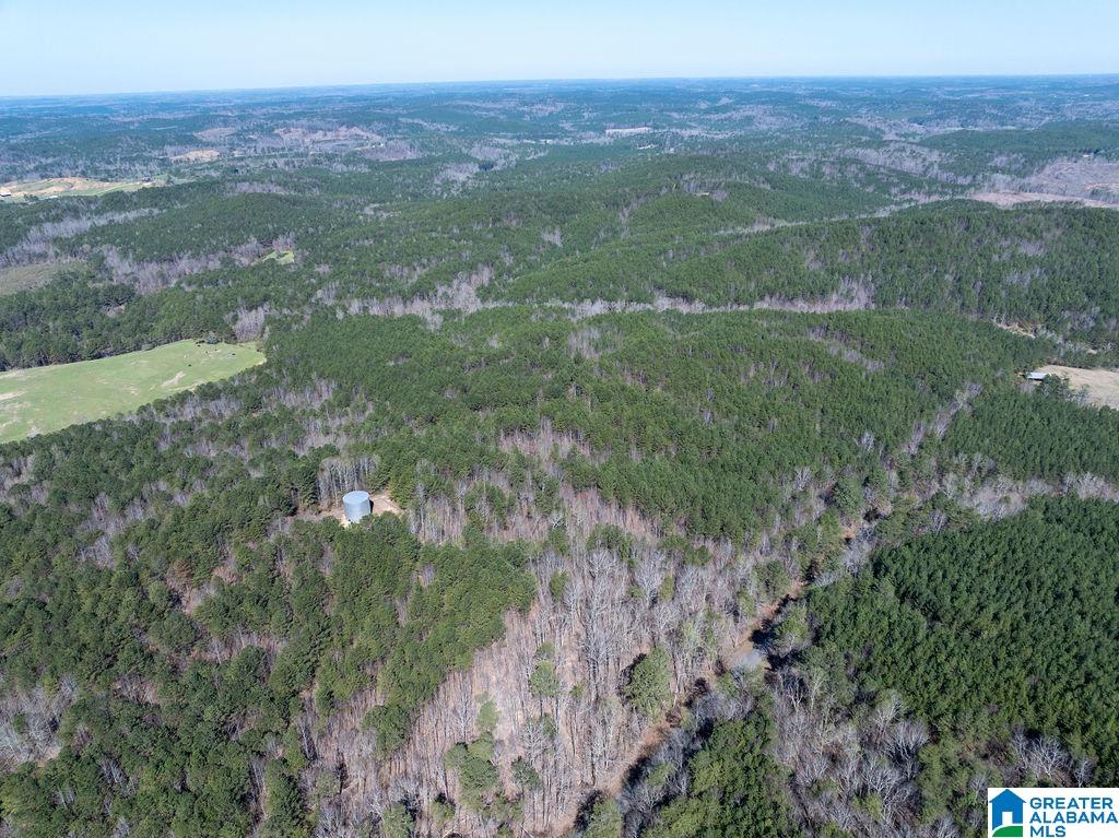 15201 COUNTY ROAD 63 N none