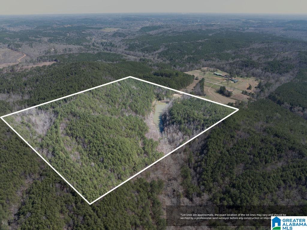 15201 COUNTY ROAD 63 N none