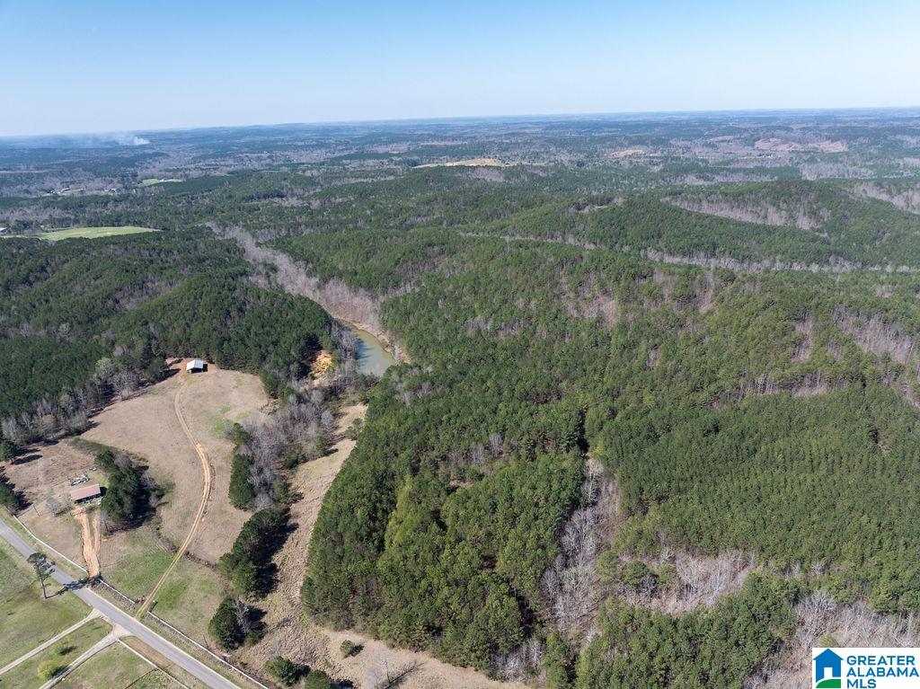 15201 COUNTY ROAD 63 N none