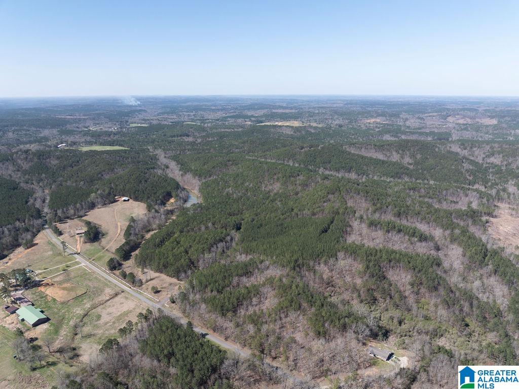 15201 COUNTY ROAD 63 N none