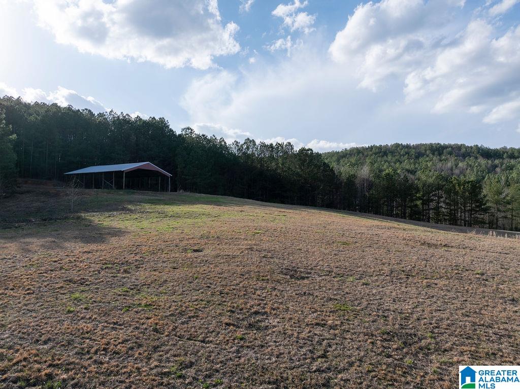 15201 COUNTY ROAD 63 N none