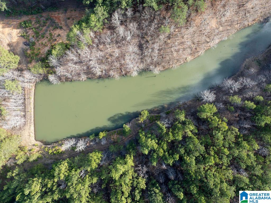 15201 COUNTY ROAD 63 N none