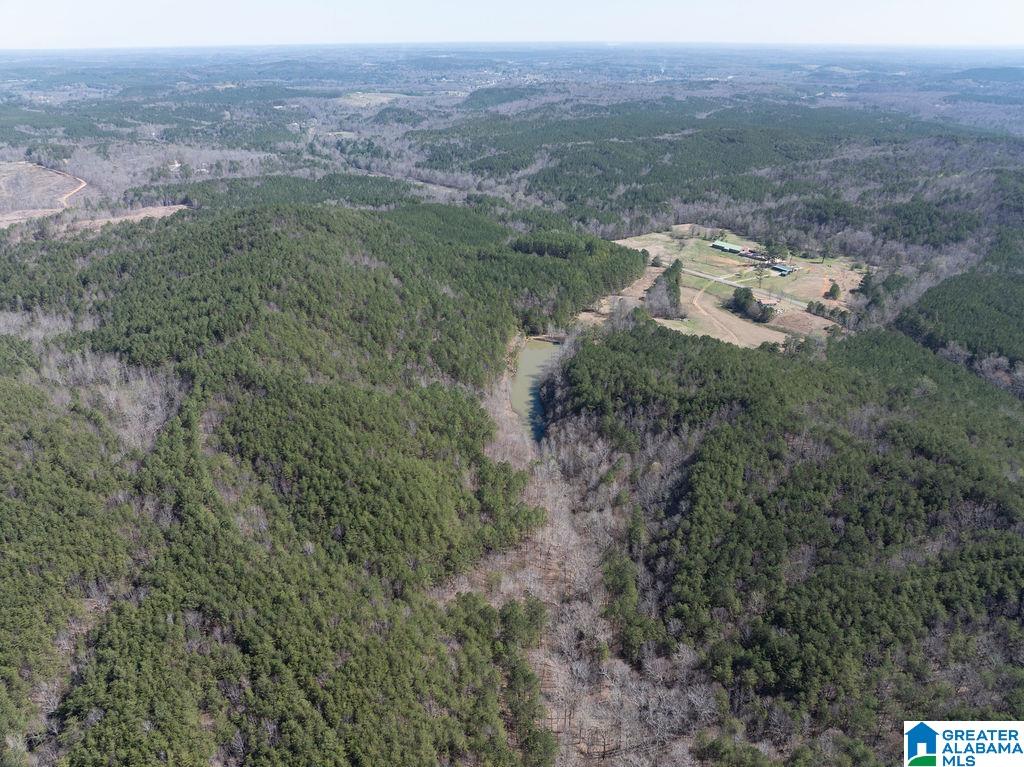 15201 COUNTY ROAD 63 N none