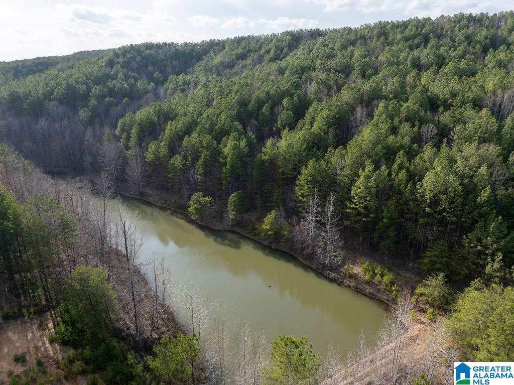 15201 COUNTY ROAD 63 N none