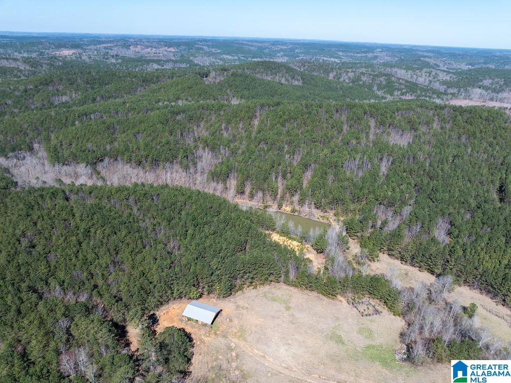 15201 COUNTY ROAD 63 N none