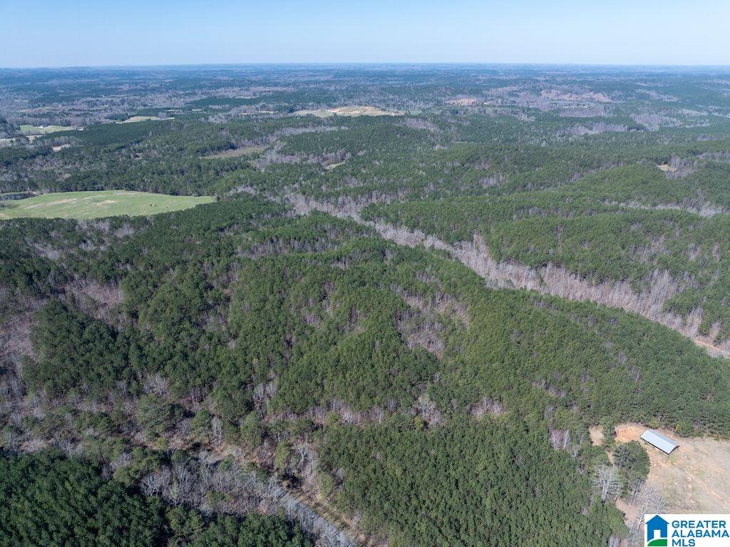 15201 COUNTY ROAD 63 N none