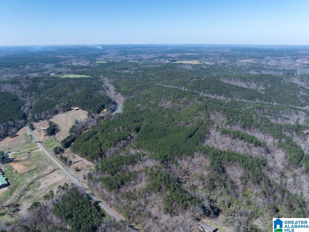 15201 COUNTY ROAD 63 N none