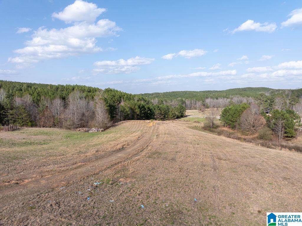 15201 COUNTY ROAD 63 N none