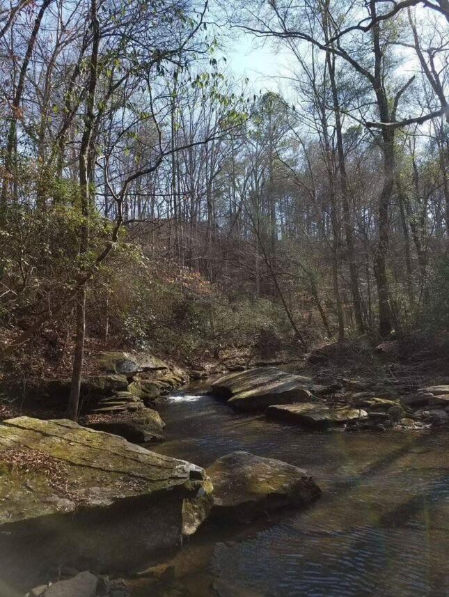 270 OLD PINEYWOODS Rd