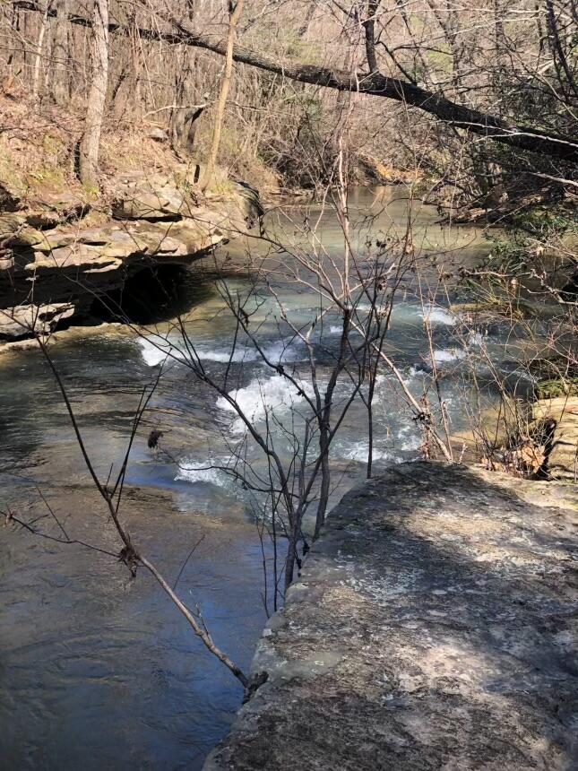 270 OLD PINEYWOODS Rd