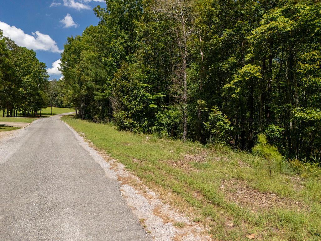 LOT 10 RIDGEVIEW Rd