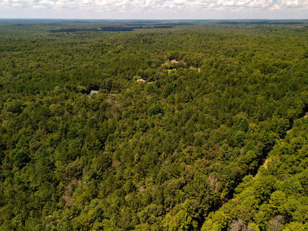 LOT 10 RIDGEVIEW Rd