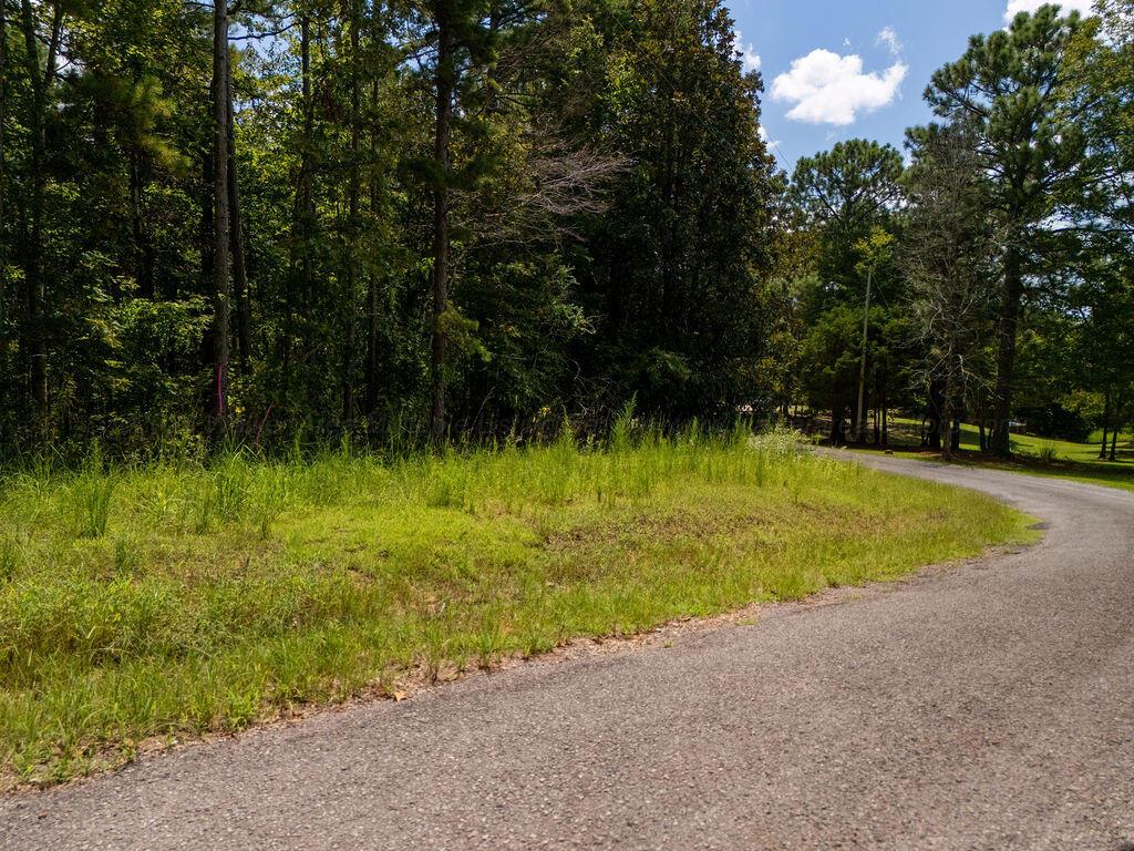 LOT 11 RIDGEVIEW Rd