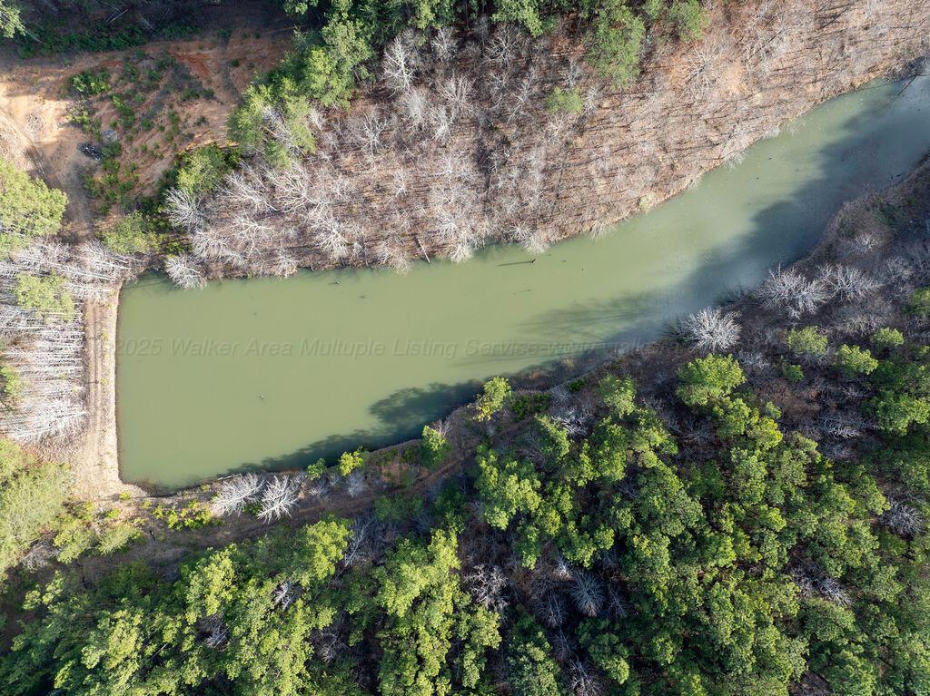 15201 CO RD 63
