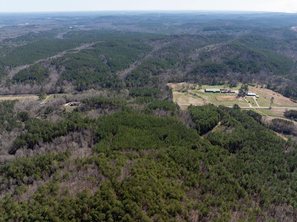 15201 CO RD 63